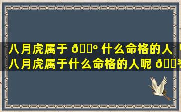 八月虎属于 🐺 什么命格的人「八月虎属于什么命格的人呢 🌾 」